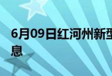 6月09日红河州新型冠状病毒肺炎疫情最新消息