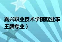 嘉兴职业技术学院就业率（2022年嘉兴职业技术学院评价及王牌专业）