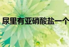 尿里有亚硝酸盐一个加号（尿里有亚硝酸盐）