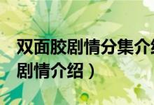 双面胶剧情分集介绍（电视剧双面胶1-5集的剧情介绍）