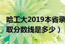 哈工大2019本省录取分数线（哈工大2019录取分数线是多少）