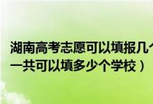 湖南高考志愿可以填报几个院校（2022年湖南高考本科志愿一共可以填多少个学校）