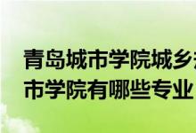 青岛城市学院城乡规划专业（2022年青岛城市学院有哪些专业）