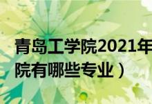 青岛工学院2021年分数线（2022年青岛工学院有哪些专业）