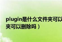 plugin是什么文件夹可以删除吗（snapplugin是什么文件夹可以删除吗）