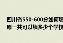 四川省550-600分如何填报志愿（2022年四川高考专科志愿一共可以填多少个学校）