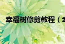 幸福树修剪教程（幸福树修剪教程是什么）