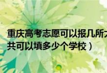 重庆高考志愿可以报几所大学（2022年重庆高考本科志愿一共可以填多少个学校）