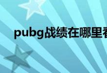 pubg战绩在哪里看（pubg战绩哪里看）