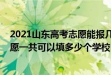 2021山东高考志愿能报几个学校（2022年山东高考本科志愿一共可以填多少个学校）