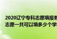 2020辽宁专科志愿填报有多少院校（2022年辽宁高考专科志愿一共可以填多少个学校）