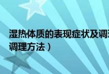 湿热体质的表现症状及调理方法论（湿热体质的表现症状及调理方法）