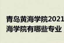 青岛黄海学院2021招生人数（2022年青岛黄海学院有哪些专业）