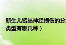 新生儿臂丛神经损伤的分型及表现（新生儿臂丛神经损伤的类型有哪几种）