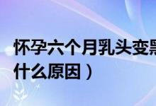 怀孕六个月乳头变黑是什么原因（乳头变黑是什么原因）