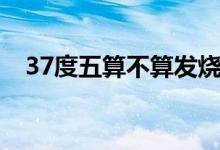 37度五算不算发烧啊（37度五算发烧吗）