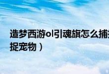 造梦西游ol引魂旗怎么捕捉宠物（造梦西游ol引魂旗怎么捕捉宠物）