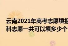 云南2021年高考志愿填报多少个学校（2022年云南高考本科志愿一共可以填多少个学校）