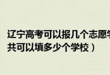 辽宁高考可以报几个志愿学校（2022年辽宁高考本科志愿一共可以填多少个学校）