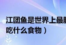 江团鱼是世界上最脏的鱼（江团鱼是什么鱼内吃什么食物）