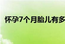 怀孕7个月胎儿有多大（怀孕7个月的症状）