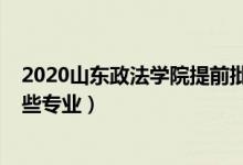 2020山东政法学院提前批专业（2022年山东政法学院有哪些专业）