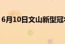 6月10日文山新型冠状病毒肺炎疫情最新消息