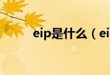 eip是什么（eip系统是什么意思）