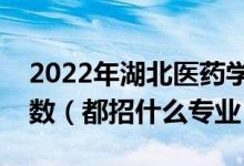 2022年湖北医药学院各省招生计划及招生人数（都招什么专业）