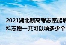 2021湖北新高考志愿能填多少个学校（2022年湖北高考本科志愿一共可以填多少个学校）