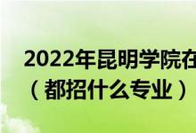 2022年昆明学院在安徽招生计划及招生人数（都招什么专业）