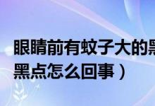 眼睛前有蚊子大的黑点是怎么回事（眼睛前有黑点怎么回事）