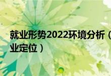 就业形势2022环境分析（2022环境设计专业就业方向及职业定位）