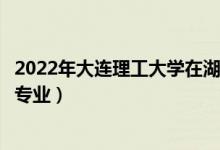 2022年大连理工大学在湖南招生计划及招生人数（都招什么专业）