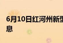 6月10日红河州新型冠状病毒肺炎疫情最新消息