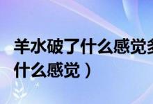 羊水破了什么感觉多久孩子会窒息（羊水破了什么感觉）