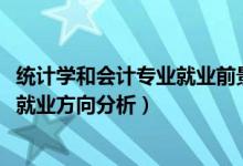 统计学和会计专业就业前景（2022年统计学专业就业前景和就业方向分析）