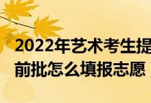 2022年艺术考生提前批志愿（2022艺术类提前批怎么填报志愿）