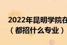 2022年昆明学院在广东招生计划及招生人数（都招什么专业）