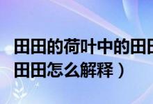 田田的荷叶中的田田是什么意思（荷叶田田的田田怎么解释）