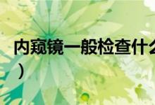 内窥镜一般检查什么（内窥镜检查是检查什么）