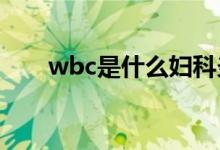 wbc是什么妇科炎症（WBC是什么）