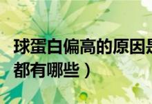 球蛋白偏高的原因是什么（球蛋白偏高的原因都有哪些）