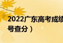 2022广东高考成绩查询时间是什么时候（几号查分）