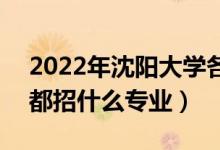 2022年沈阳大学各省招生计划及招生人数（都招什么专业）