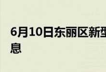 6月10日东丽区新型冠状病毒肺炎疫情最新消息