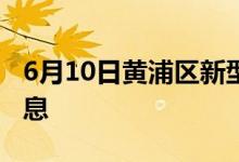 6月10日黄浦区新型冠状病毒肺炎疫情最新消息