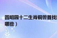 圆明园十二生肖铜兽首找回几个（圆明园十二生肖铜兽包括哪些）