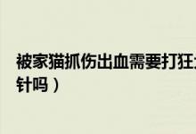 被家猫抓伤出血需要打狂犬疫苗吗（被家猫抓伤出血需要打针吗）