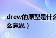 drew的原型是什么意思（drove的原形是什么意思）